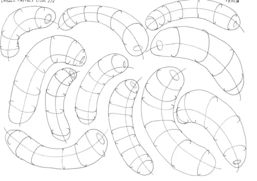 DAB - Lektion 2! 4 Organic Forms with Contour Lines.1 - DAB - Lektion 2!
