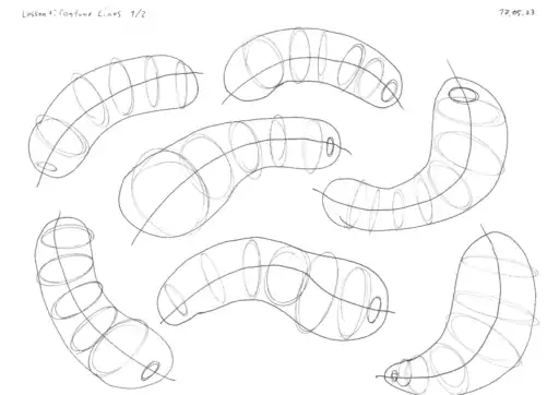 Organic Forms with Contour Lines.2 - DAB — Lesson 2!