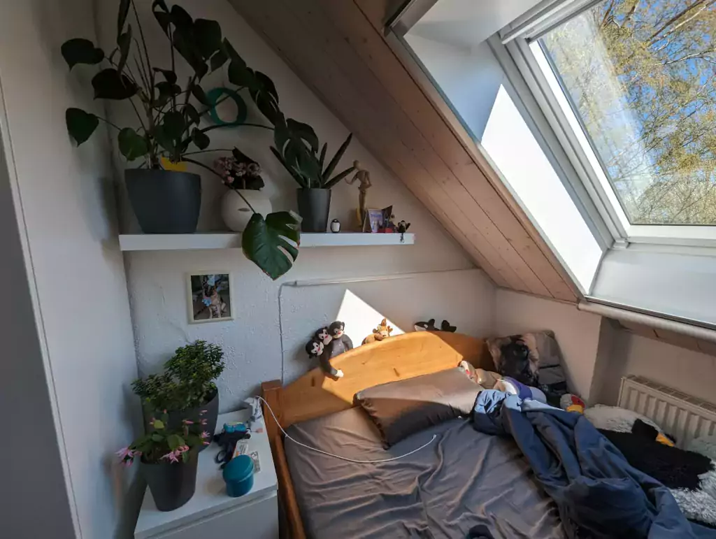 Houseplants 2 PXL 20230421 134940560 - Houseplants