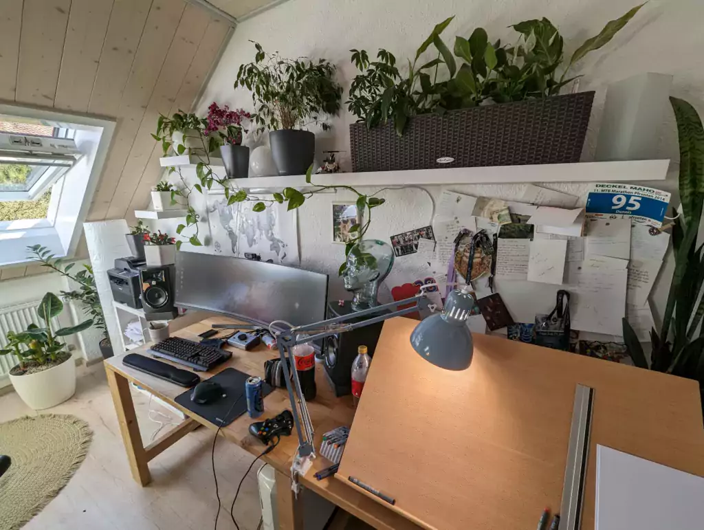 Houseplants 1 PXL 20230421 135210569 1 - Houseplants