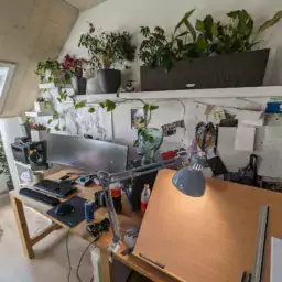 PXL 20230421 135210569 - Houseplants
